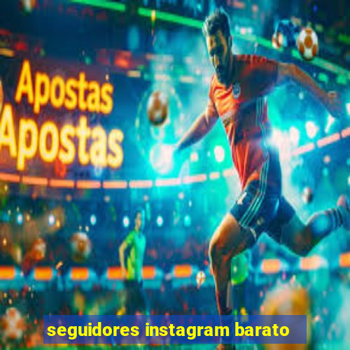 seguidores instagram barato